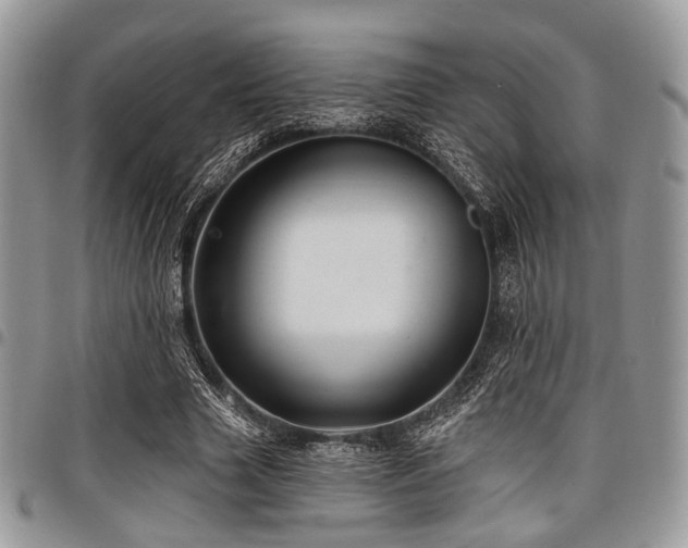 X0000098010633200803281313