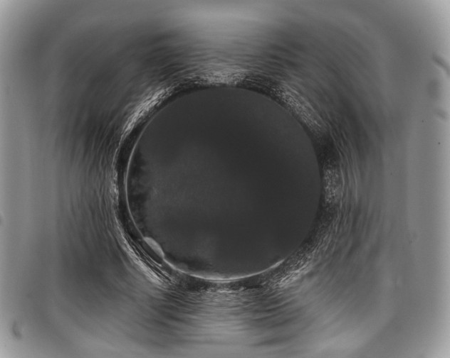 X0000098010634200803281313