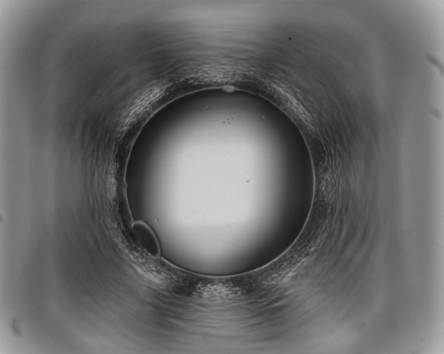X0000098010635200803281313