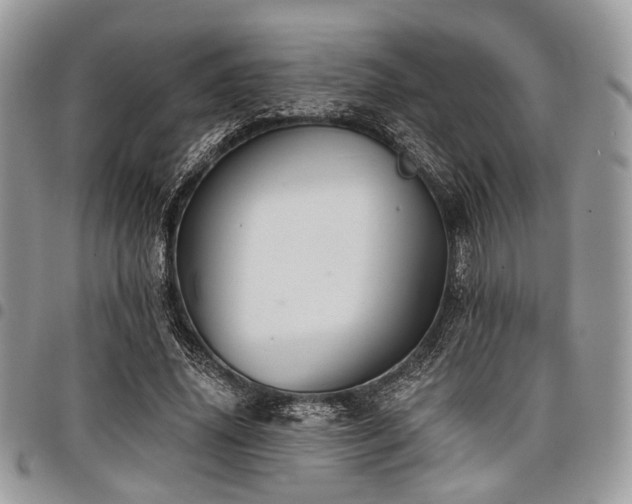 X0000098010636200803281313