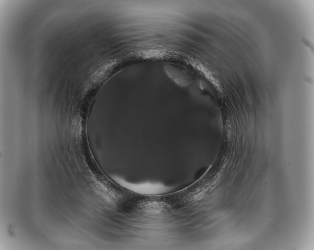 X0000098010637200803281313