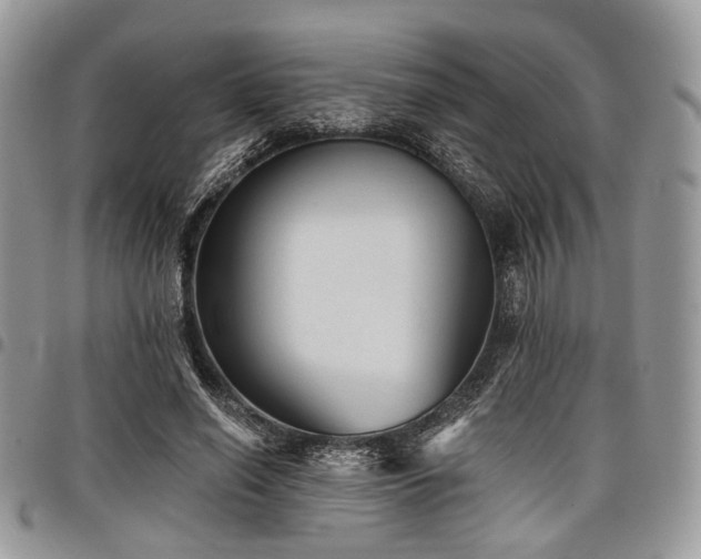 X0000098010638200803281313