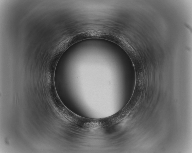 X0000098010639200803281313
