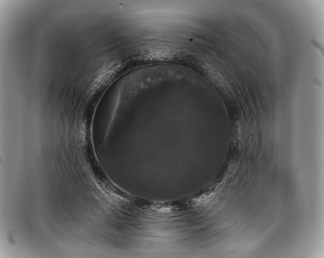 X0000098010640200803281313
