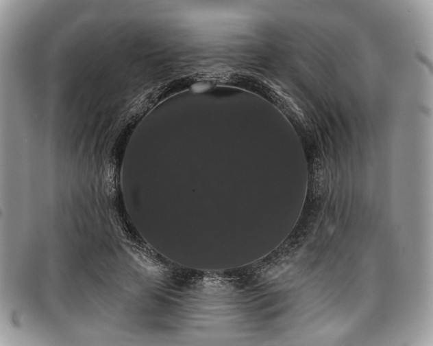 X0000098010641200803281313