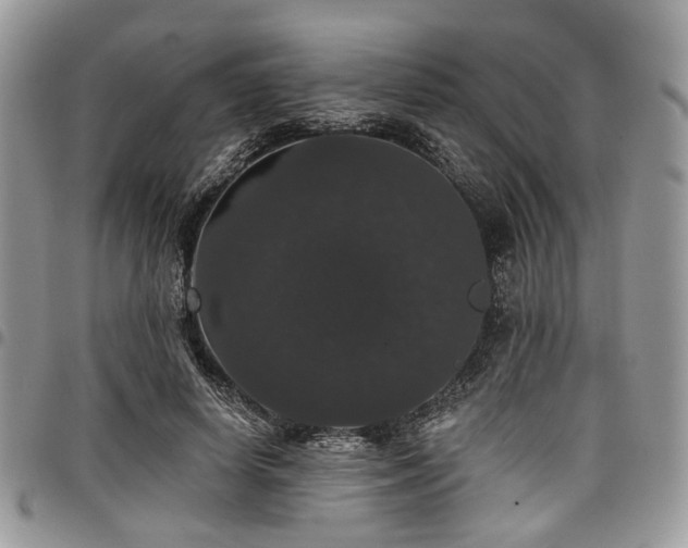 X0000098010642200803281313