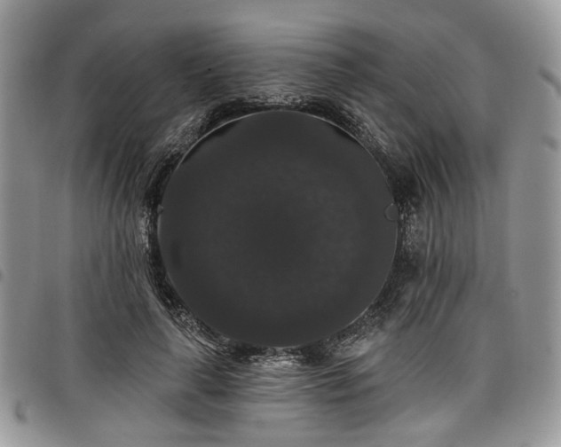 X0000098010643200803281313