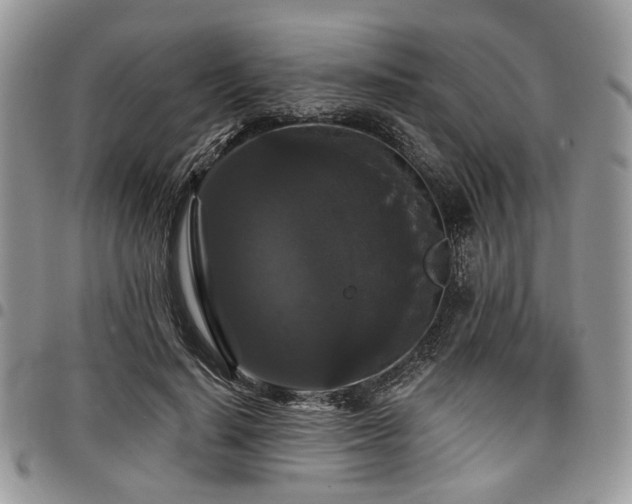 X0000098010644200803281313