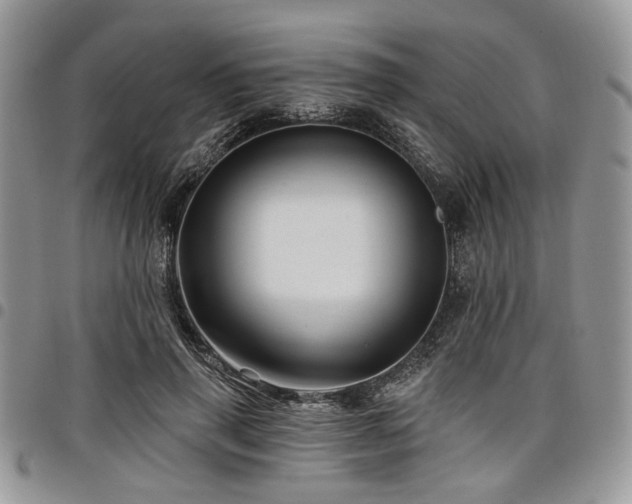 X0000098010645200803281313