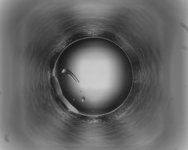 X0000098010646200803281313