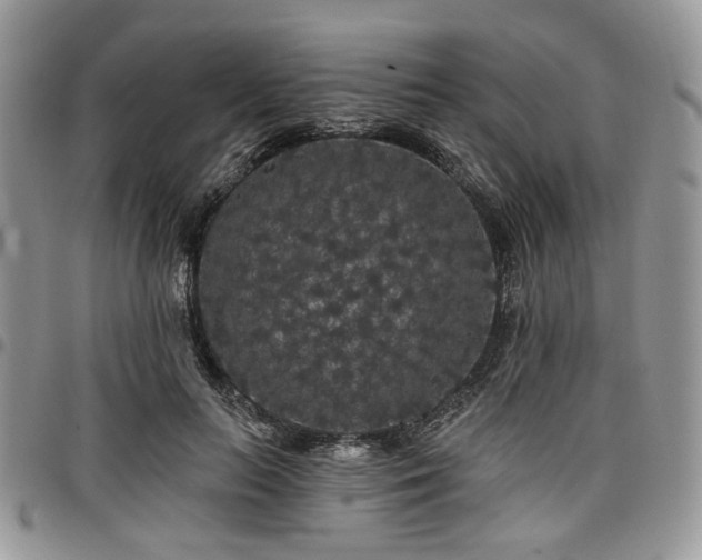 X0000098010647200803281313