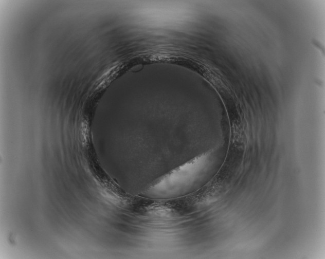 X0000098010648200803281313