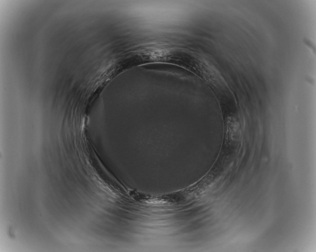 X0000098010650200803281313