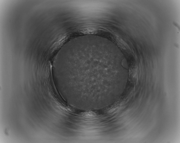 X0000098010652200803281313