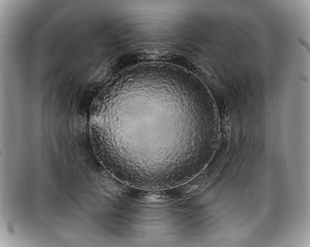 X0000098010657200803281313
