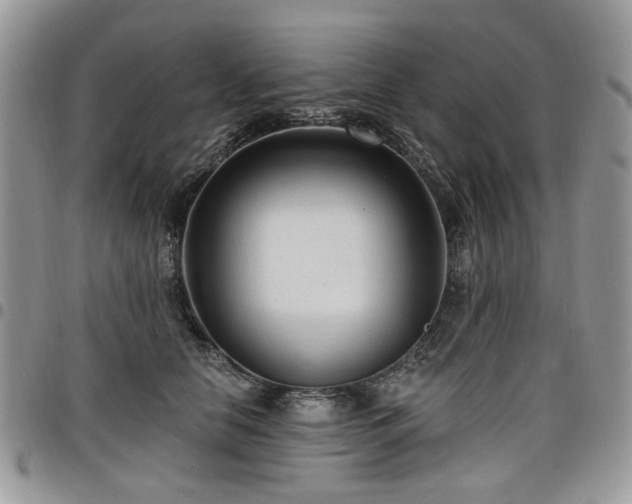 X0000098010658200803281313