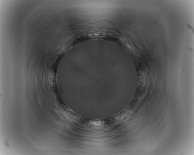 X0000098010659200803281313