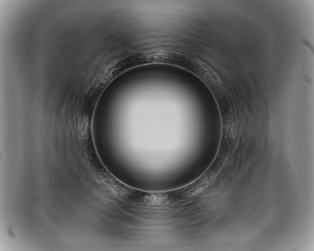 X0000098010660200803281313