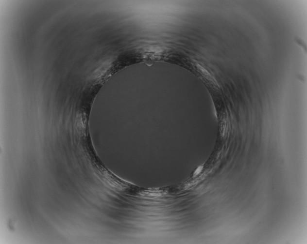 X0000098010661200803281313