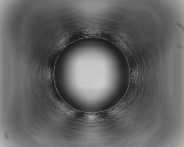 X0000098010662200803281313