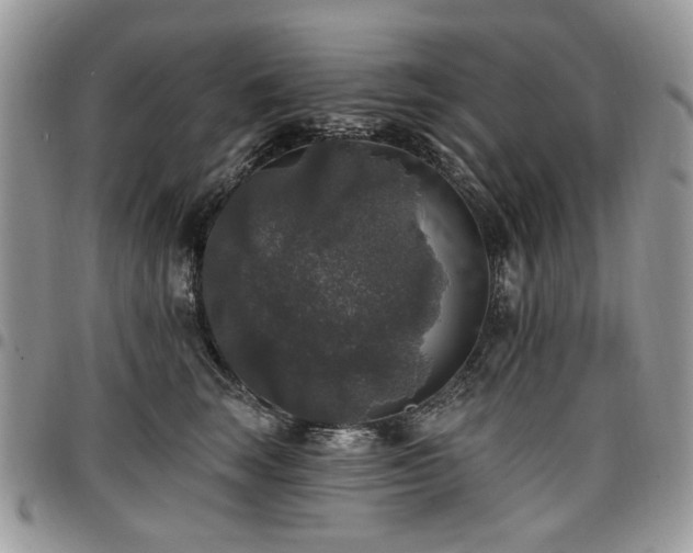 X0000098010663200803281313