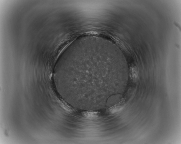 X0000098010664200803281313