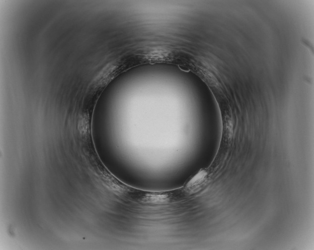 X0000098010665200803281313