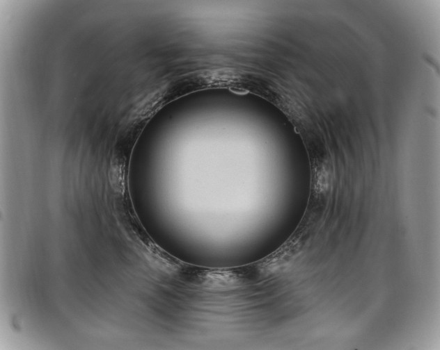 X0000098010666200803281313