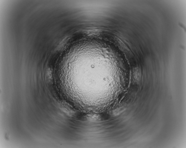 X0000098010667200803281313
