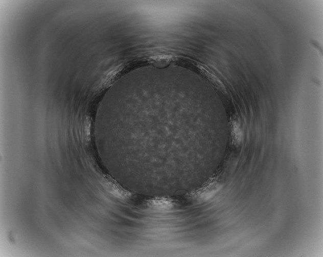 X0000098010668200803281313