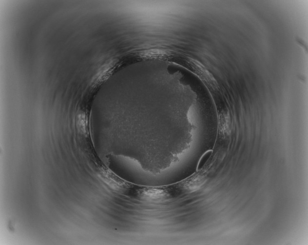 X0000098010669200803281313