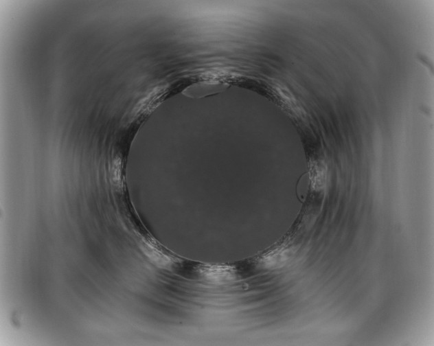 X0000098010670200803281313