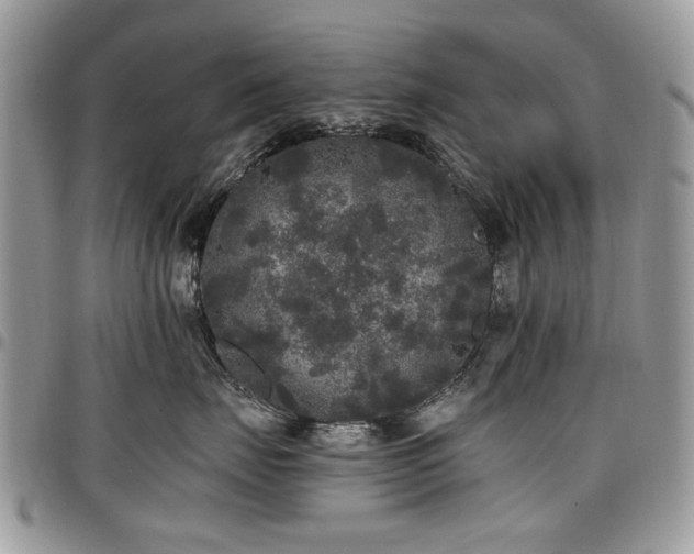 X0000098010671200803281313