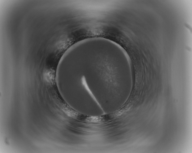 X0000098010672200803281313