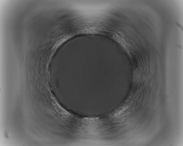 X0000098010673200803281312