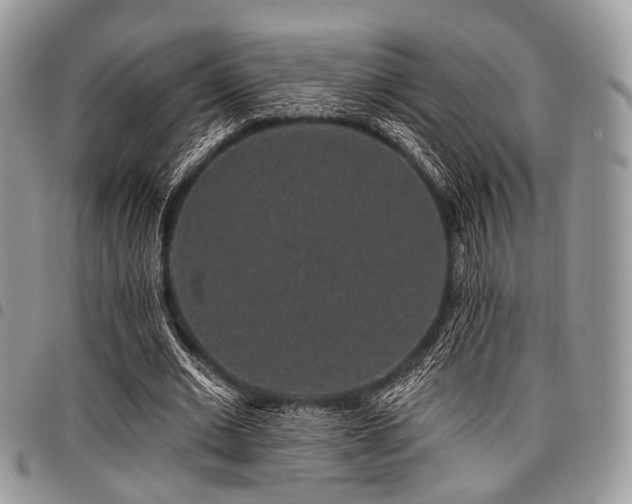 X0000098010677200803281312