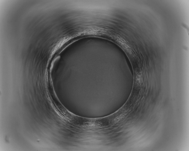 X0000098010678200803281312