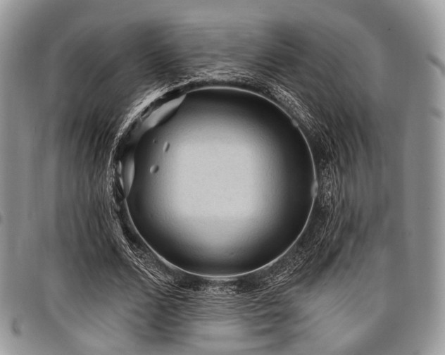X0000098010680200803281312