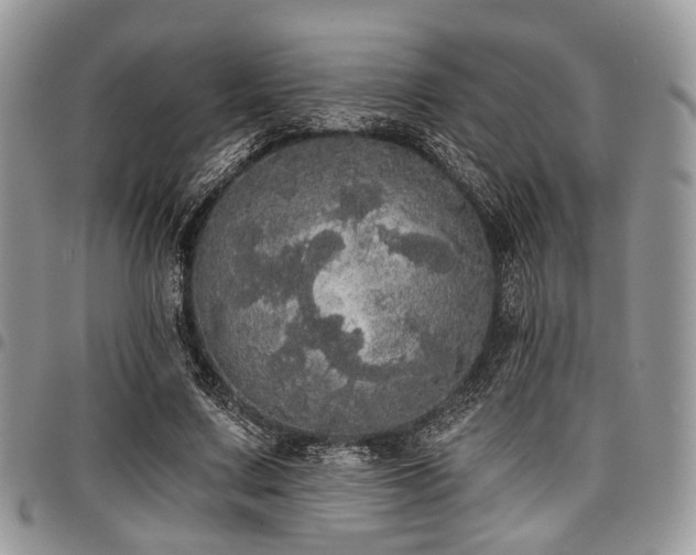 X0000098010683200803281312