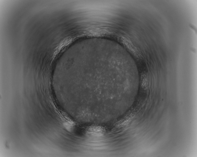 X0000098010685200803281312