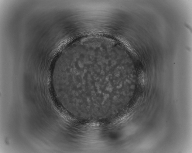 X0000098010687200803281312