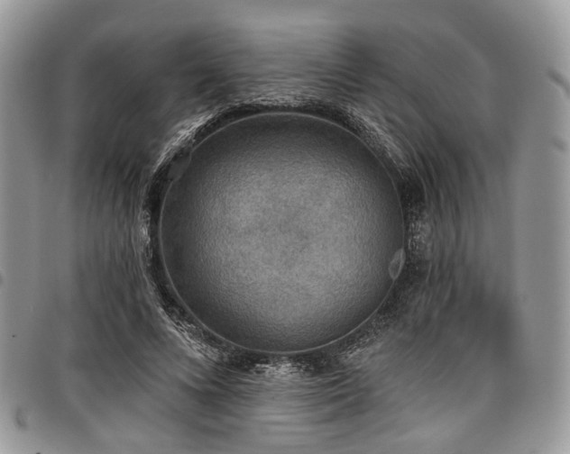 X0000098010688200803281312