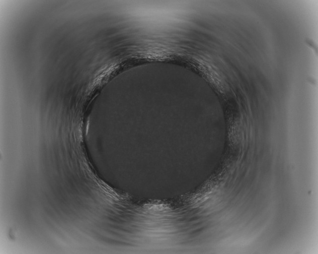 X0000098010689200803281312