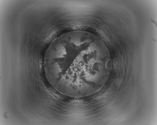 X0000098010691200803281312