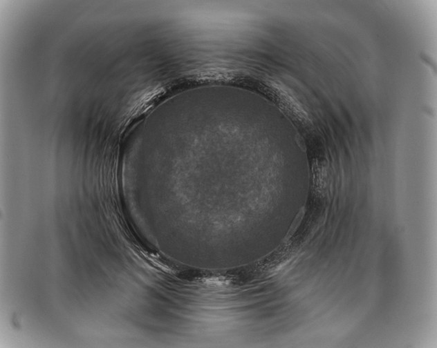 X0000098010692200803281312