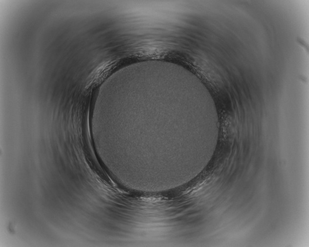 X0000098010693200803281312