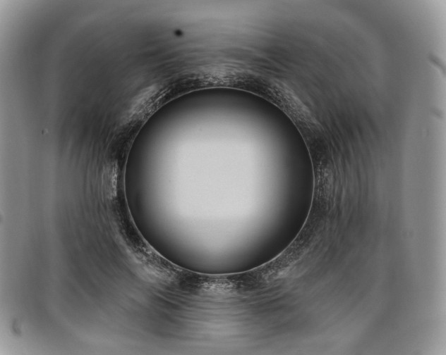X0000098010694200803281312