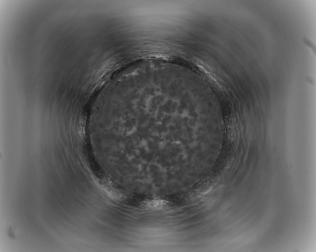 X0000098010695200803281312