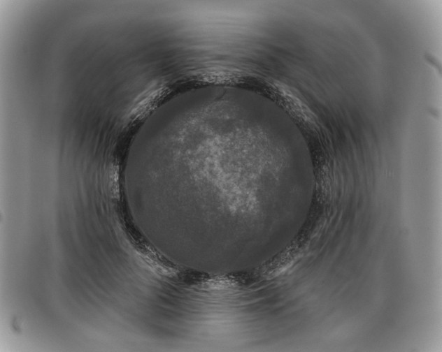X0000098010696200803281312