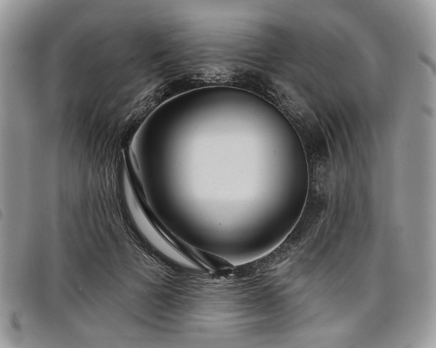 X0000098010697200803281312